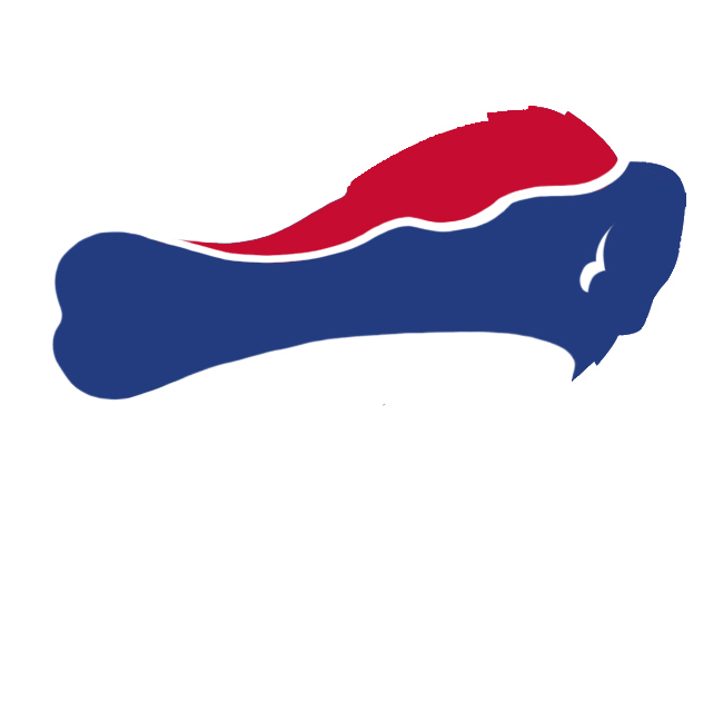 Buffalo Bills Wings Logo fabric transfer